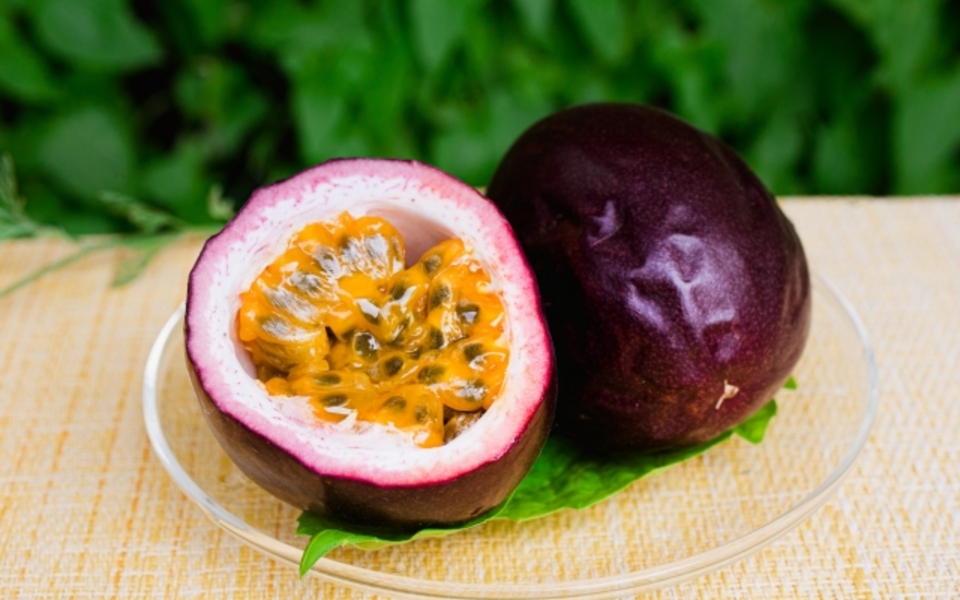 シーシャ　おすすめシーシャミックス　シーシャフレーバー　パッションフルーツ　夜カフェ　梅田シーシャ　お初シーシャ