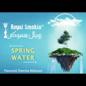 シーシャ　スプリングウォーター　おすすめミックス　梅田シーシャ　お初シーシャ　